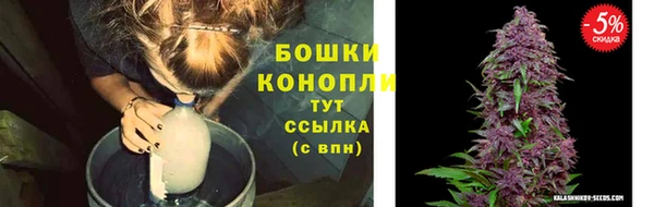 твердый Новозыбков