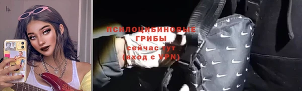 твердый Новозыбков
