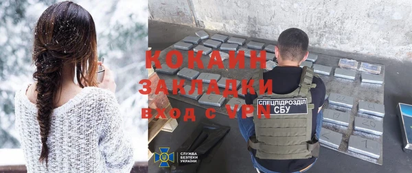 твердый Новозыбков