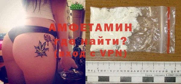 твердый Новозыбков