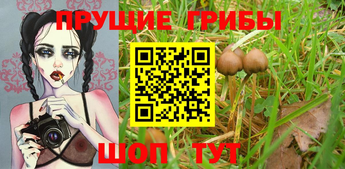 Псилоцибиновые грибы ЛСД  Вход с VPN  Псилоцибиновые грибы мухоморы  Алушта 
