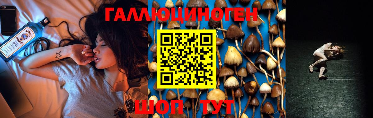 Псилоцибиновые грибы Cubensis Алушта